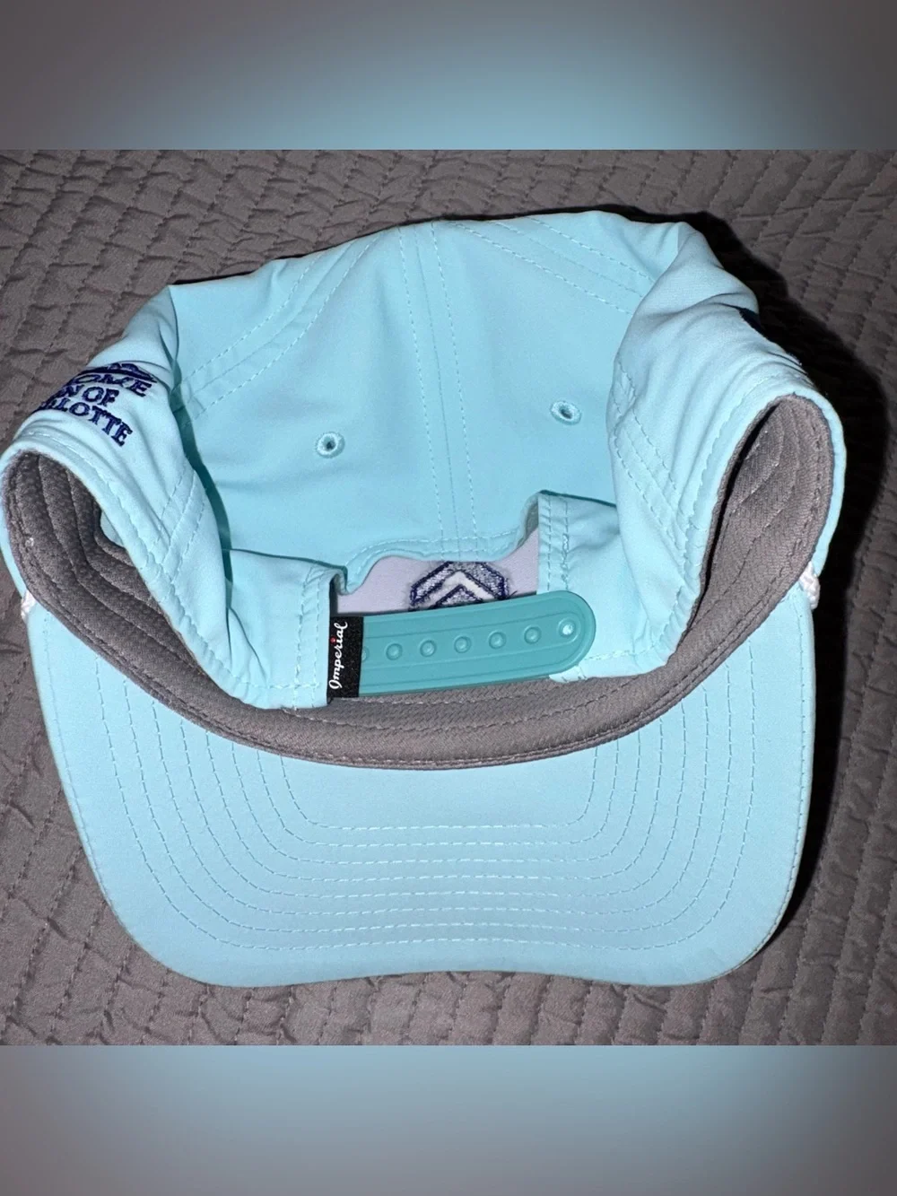 DOWN SYNDROME, ASSOCIATION OF GREATER CHARLOTTE HAT, CAP ONE SIZE FIT ALL EUC
